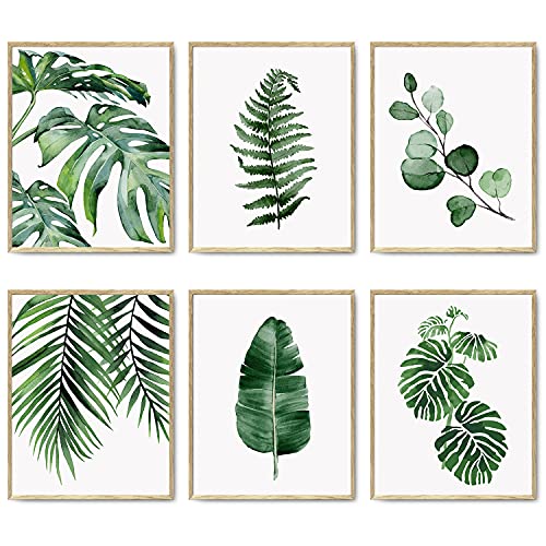 Juego de 6 impresiones botánicas para pared, diseño de hojas tropicales, decoración de plantas, hojas bohemias, para decoración de pared, diseño bohemio verde (11 x 14 pulgadas sin marco)