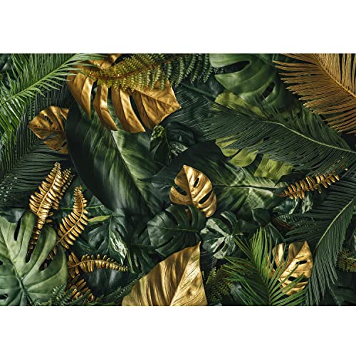 Runa Art Papel Pintado Fotográfico hojas tropicales monstera Moderna Deco Sala Dormitorio - Made in Germany - oro verde 9591010a