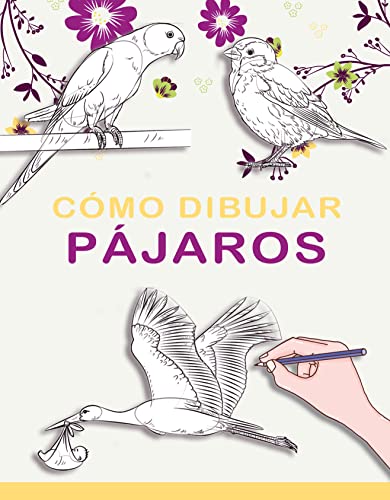 Cómo dibujar pájaros: aprende a dibujar pájaros, libro de dibujos de pájaros de dibujo realista paso a paso