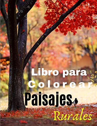 Paisajes Rurales Libro para Colorear: Libro de colorear paisajes para niños, adolescentes, adultos - Libro Colorear Adultos Ciudades, Mandalas, ... Antiestres, Zentangle, Facil y Complejos