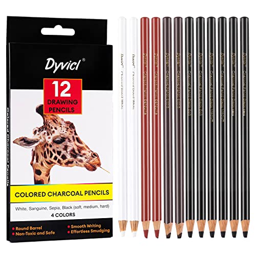 Dyvicl Juego de 12 lápices de carbón para dibujar, bosquejar, sombrear, mezclar, resaltar lápices blancos para principiantes y artistas
