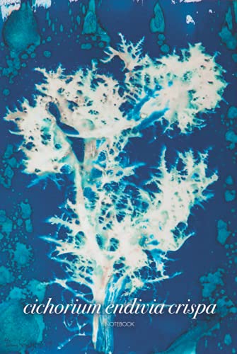 Libreta Bullet Journal. Cichorium.: Cubierta inspirada en las plantas y árboles del Mediterráneo con un bello Azul de Prusia. 100 páginas. 15,24 x 22,86 cm