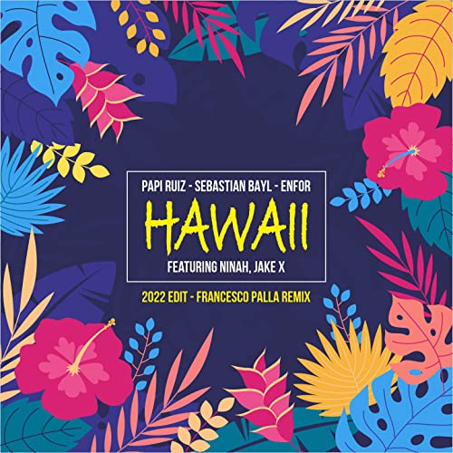 Hawaii (Francesco Palla Extended Remix)