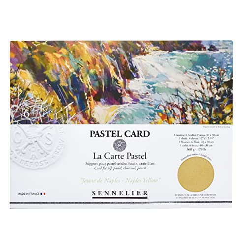 Sennelier La Carte Pastel Card Pochette, 15.7