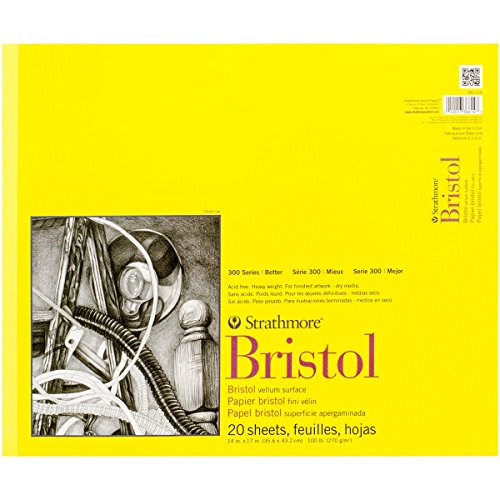 Strathmore Bristol - Papel de pergamino (270 gms, 20 hojas)