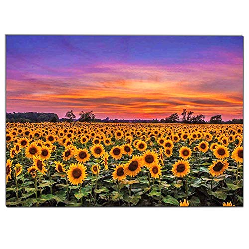 Kit de pintura de diamante 5D DIY 5D Punto de Cruz Diamante DIY 5D Diamond Painting Kit Completo Girasol Kit Completo de Pintura de Diamante de Girasol Decoración de la Pared del Hogar