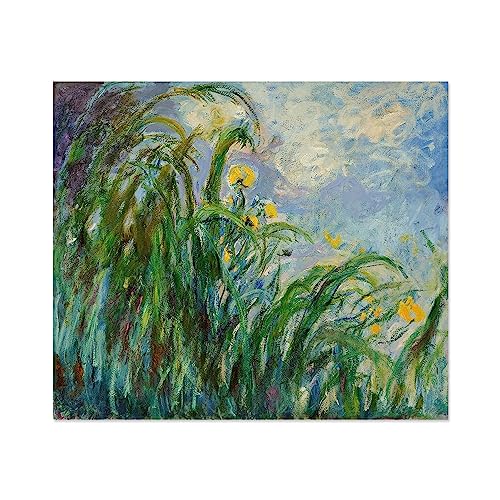 DHAEY Cuadros flores para sala de estar. Iris amarillos de Claude Monet. Reproducción de pinturas. Lienzo Pintura para pared 80x96cm Solo Lienzo