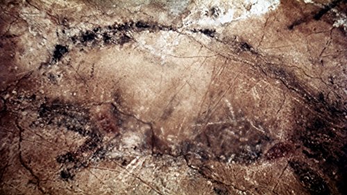The Poster Corp Cave Art: Altamira. /Nrunning Wild Boar from Cave of Altamira Santander Spain C10 000 B.C. Artistica di Stampa (45,72 x 60,96 cm)