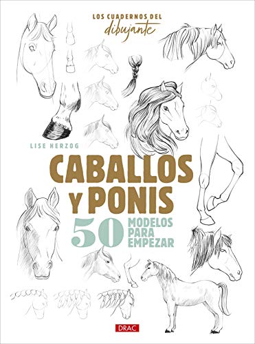 Los Cuadernos Del Dibujante. Caballos Y Ponis: 50 modelos para empezar (TENDENCIAS JUVENILES)