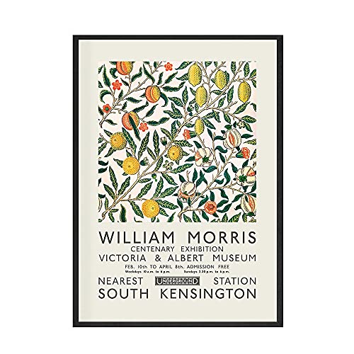 HJGB Carteles e impresiones de William Morris, póster de exposición, arte de pared, cuadro de flores y pájaros, lienzo, pintura para habitación, decoración del hogar, B 50x70cm