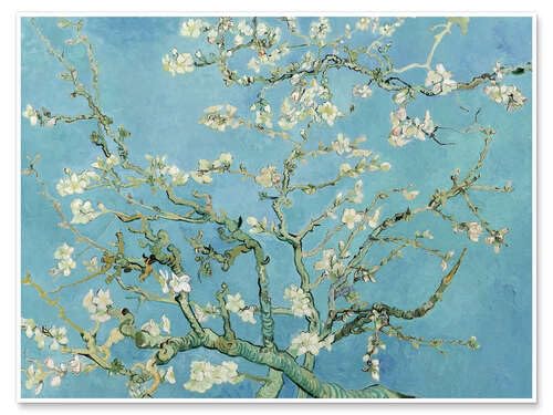 Almendro en Flor pósters para la Pared de Vincent Van Gogh Cuadros decoración para Cualquier habitación 40 x 30 cm Turquesa Pintura Láminas Decorativas