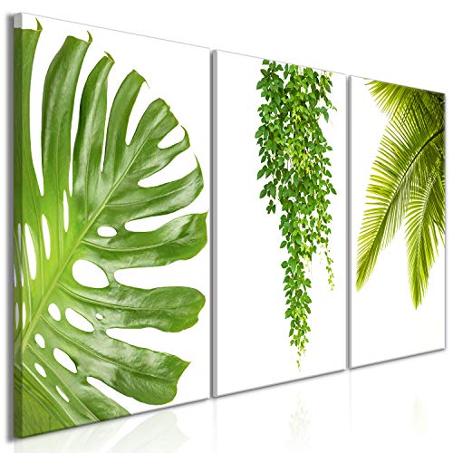 murando - Cuadro en Lienzo Tropical Hojas Monstera 120x60 - Impresión de 3 Piezas Material Tejido no Tejido Impresión Artística Imagen Gráfica Decoracion de Pared - Verde b-B-0309-b-e