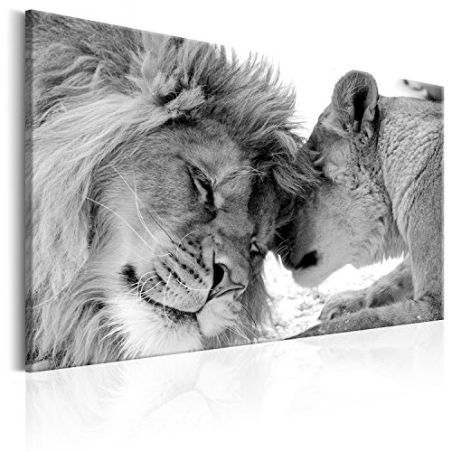 murando Cuadro en Lienzo Leon 120x80 cm 1 parte Impresión en Material Tejido no Tejido Impresión Artística Imagen Gráfica Decoracion de Pared Leon Animales Africa g-B-0034-b-b