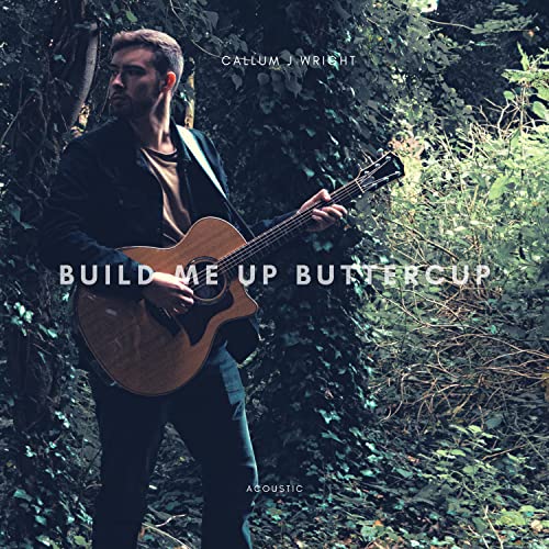 Build Me up Buttercup (Acoustic)
