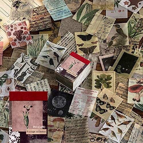 366 hojas de papel vintage para álbumes de recortes, material de álbumes de recortes, papel pergamino estético decorativo, arte artesanal para hacer tarjetas, suministros de diario
