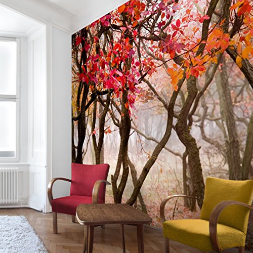 apalis Bosque Papel pintado de Japón en otoño Papel pintado fotográfico cuadrado, tamaño, marrón, 97761, 192 x 192 cm