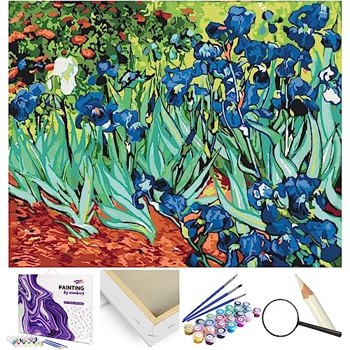 Artnapi Pintura por números para adultos y niños con marco 40 x 50 cm (Iris Van Gogh) - Pintura al óleo sobre lienzo para regalo - Muy divertido y relajante, antiestrés, aprender a pintar