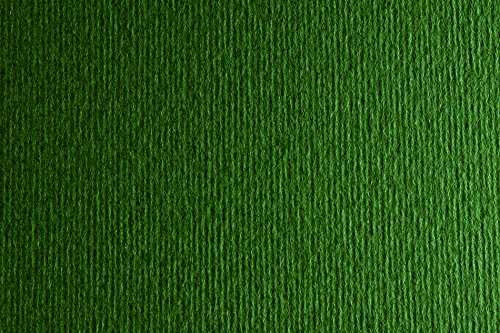 Fabriano F42450728 - Cartulina extra, 220 g, 50 x 70, color verde oscuro