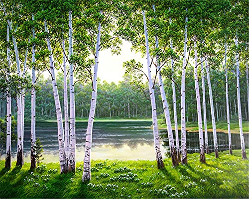 YEESAM ART Artística - Bosque verde, bosque para pintar por números de adultos, 16 x 20 pulgadas, pintura al óleo, pintura al óleo, arte de pared (árboles, sin marco)