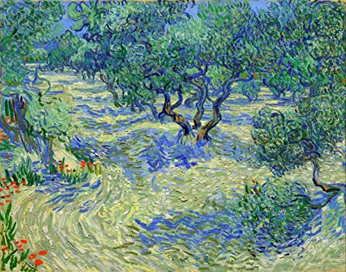 Kits De Pintura Por Números De Van Gogh Olive Garden Para Adultos Y Niños, Pintura Al Óleo Diy, Lienzo Digital, Arte De Pared, Decoración Del Hogar 40x50cm