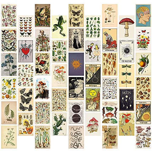 GROBRO7 50P Kit de Collage de Pared Botánico Vintage, Decoración de Habitación Indie con Imagen Estética, Póster para Decoración de La Pared del Dormitorio, Impresiones Artísticas de Pared para VSCO