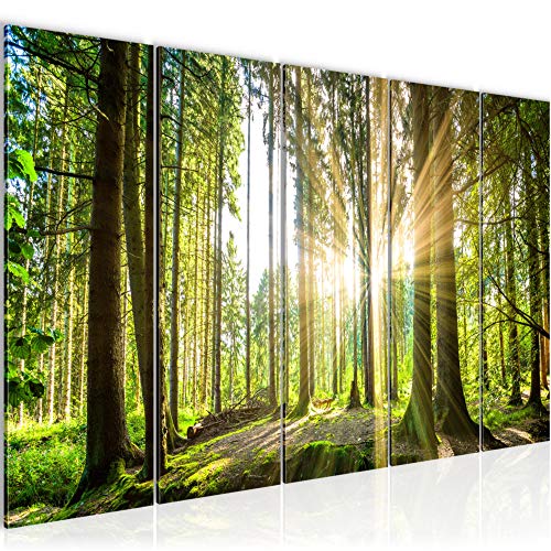 Runa Art Cuadro de Pared de 200 x 80 cm, diseño de Paisaje de Bosque, Lienzo en Formato XXL, 5 Piezas, Fabricado en Alemania, Listo para Colgar, 503855b, Color Verde