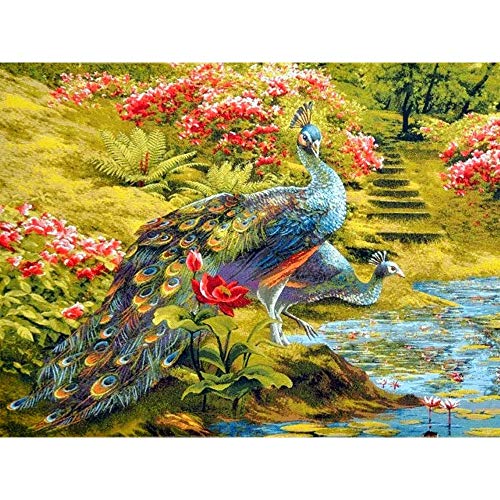 5D Diy Diamante Pintura Taladro Completo Kit Rhinestone Bordado Punto De Cruz por Numero Pintura Imagen Adulto Niño Mosaico Arte Diamond Painting Decoración hogareña Pavo real alazor 40x50cm