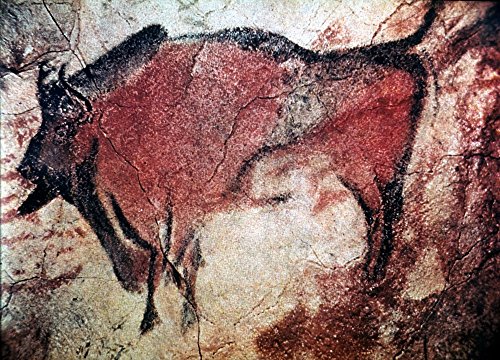 The Poster Corp Cave Art: Altamira./Nstanding Bull Bison from Cave of Altamira Santander Spain C10 000 B.C. Artistica di Stampa (60,96 x 91,44 cm)