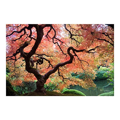 Fotomural - Top fondo de pantalla Bosque - Mural apaisado papel pintado fotomurales murales pared papel para pared foto 3D mural pared barato decorativo Dimension: 290 x 432 cm; Motivo: jardín japonés