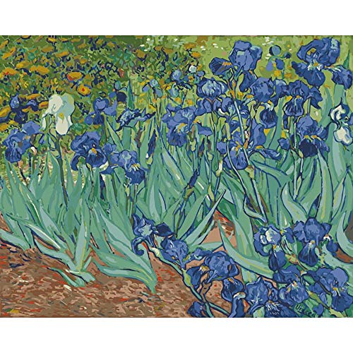 Pintura al óleo por números, de Vincent Van Gogh, pintura al óleo por número, kit de cuadro de arte para el hogar, sala de estar, decoración A3, 50 x 70 cm