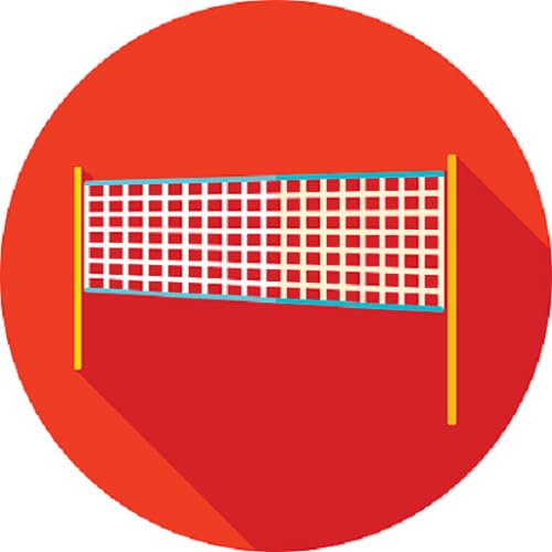 HwangInferno VolleyBall Version V17